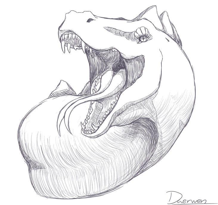 Sketch